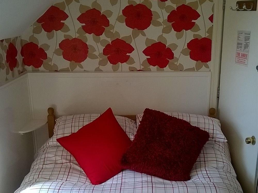 Ravensbury Hotel New Quay Buitenkant foto